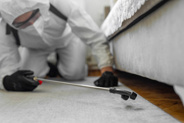 Professional Bed Bug Control technician working in East Orange, NJ