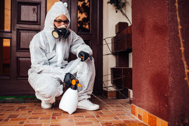 Reliable Bed Bug Control contractor in East Orange, NJ by Nex Pest Control