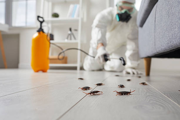 Trusted Mosquito Control service in East Orange, NJ - Nex Pest Control