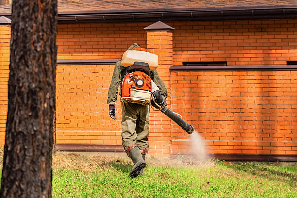 Trusted Bed Bug Control service in East Orange, NJ - Nex Pest Control